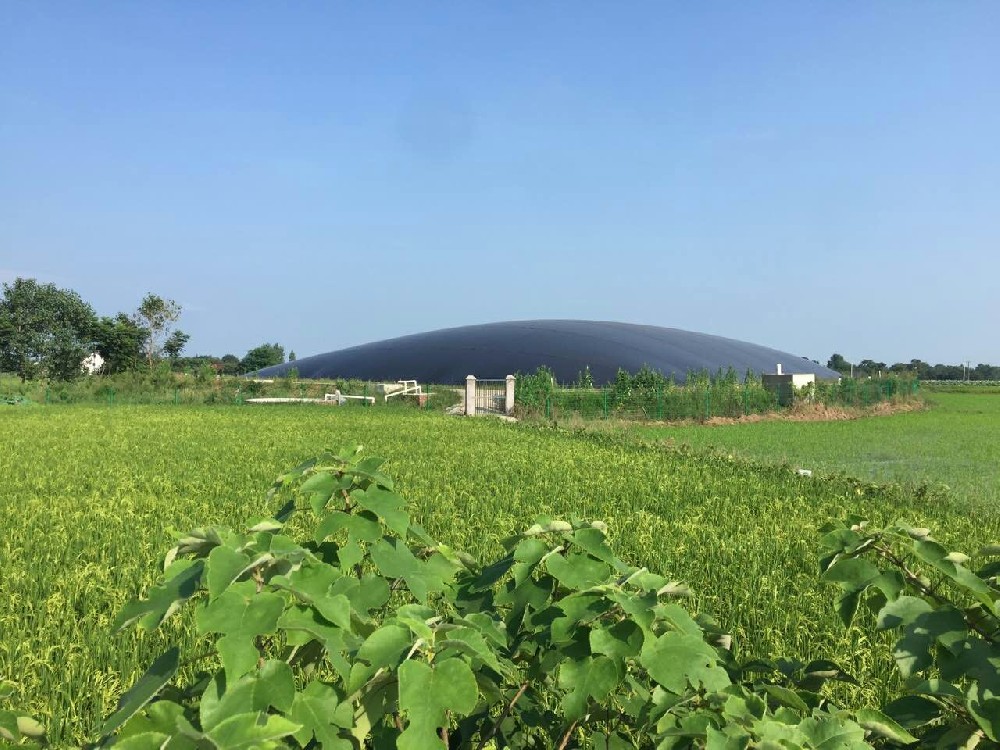 沼气工程一体化设计施工运营